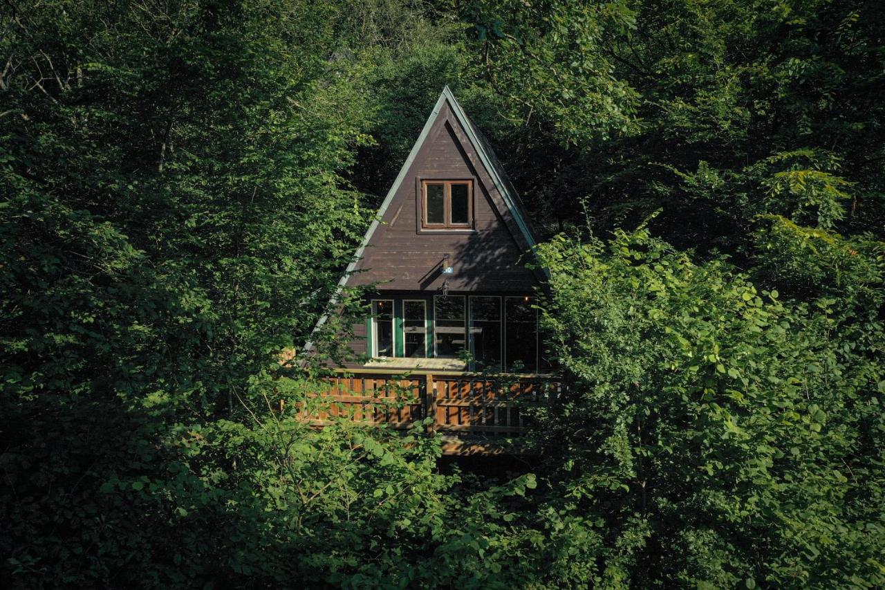 Barbuy - Natuurhuisje in Durbuy - Bar - Zwem - Ontspan - Chambres d’hôtes