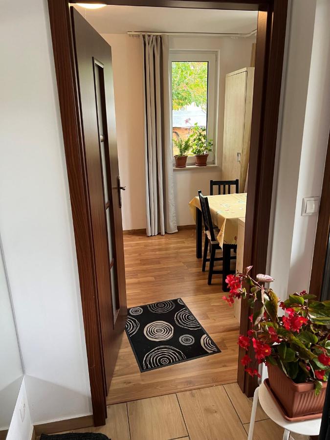 Double Room with Two Double Beds