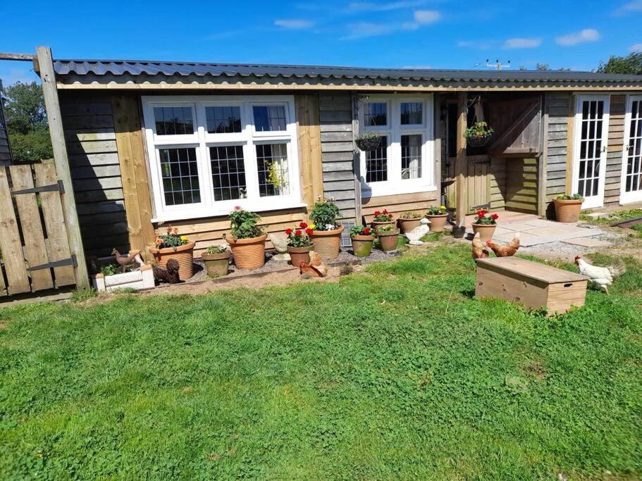 Puddle Duck Peeps Out Chalet - B&B