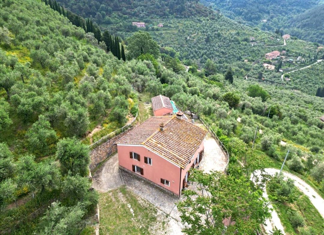 Olive House Tuscany - Zona Pisa - B&B