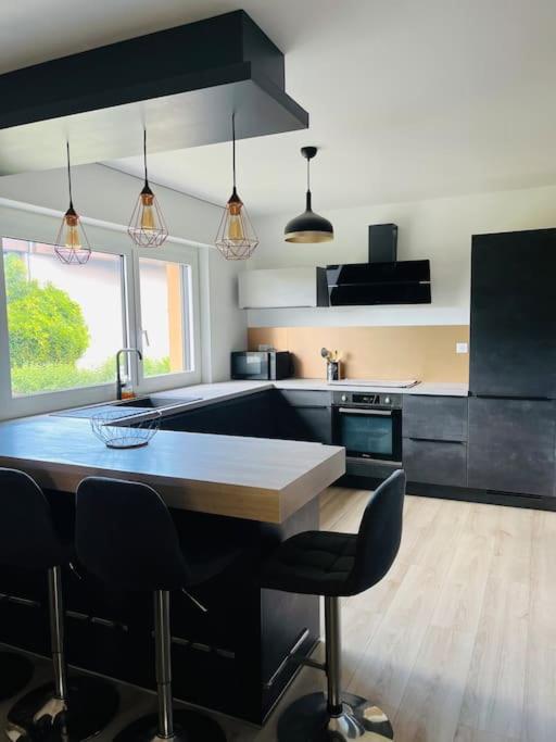 Le Saule - B&B Thonon-les-Bains