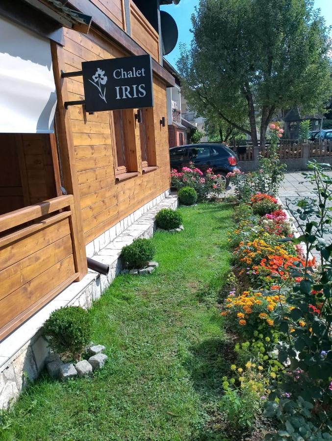 Chalet Iris with sauna - B&B