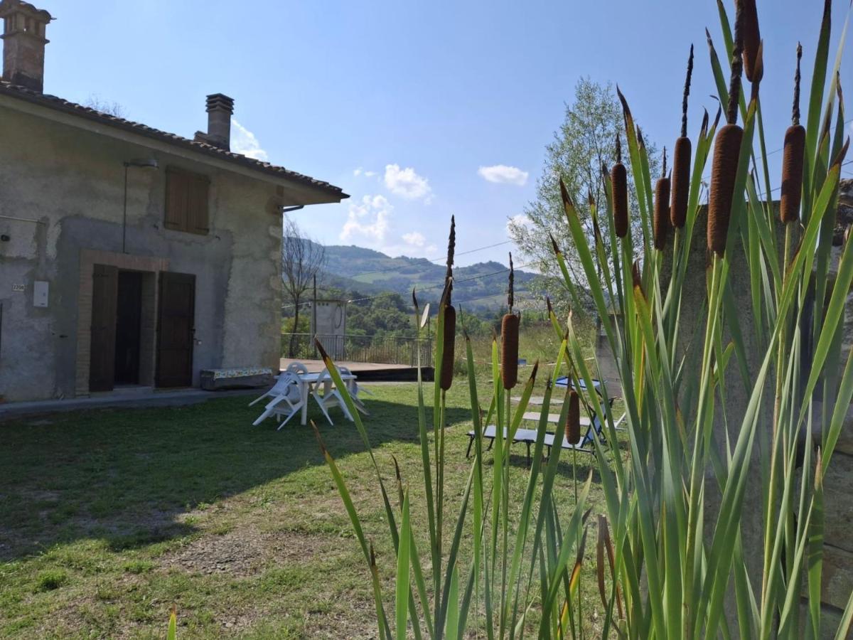 Ca' Rivella - paceful country living - B&B