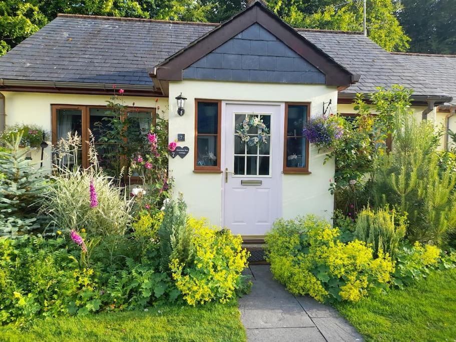 Tintagel chocolate box - B&B Davidstow