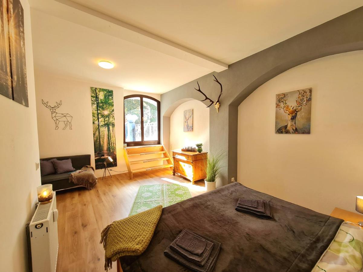 NEU: Großzügige Citywohnung mit XXL Dachterrasse! - B&B Freiberg