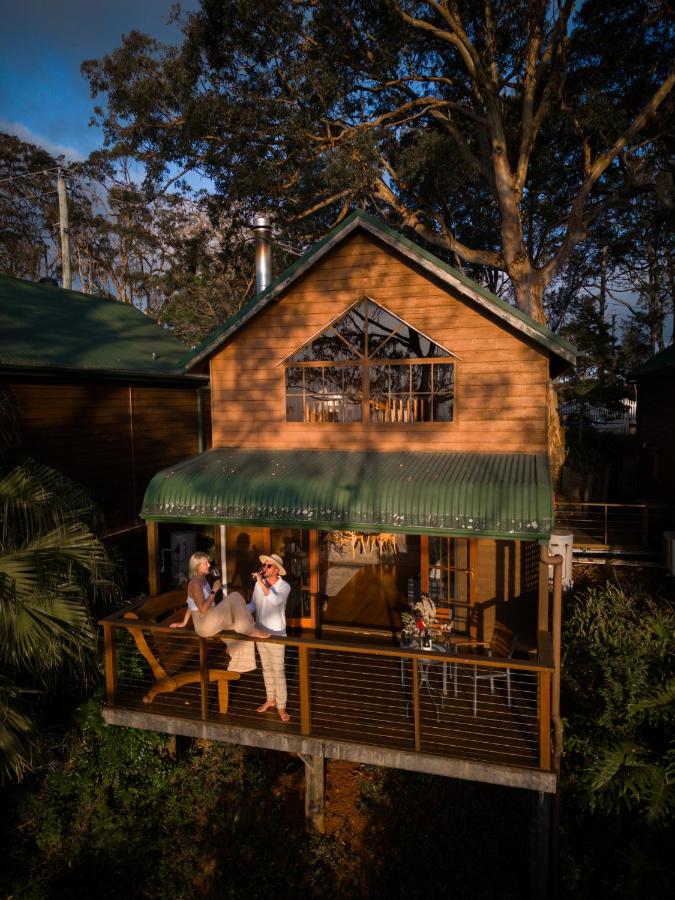 The Polish Place - B&B Tamborine Mountain
