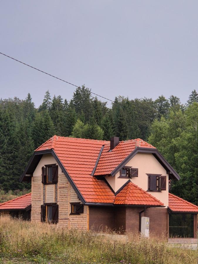 Luxury Villa Dimitrijević SPA - Bed and Breakfast Konjska Reka