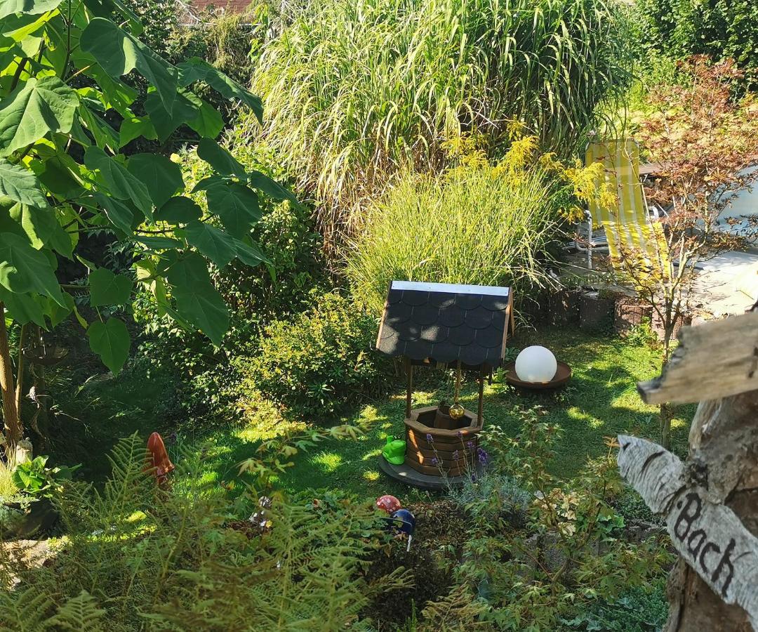 Schöne, helle, ruhige Wohnung und Wellness Sauna - B&B