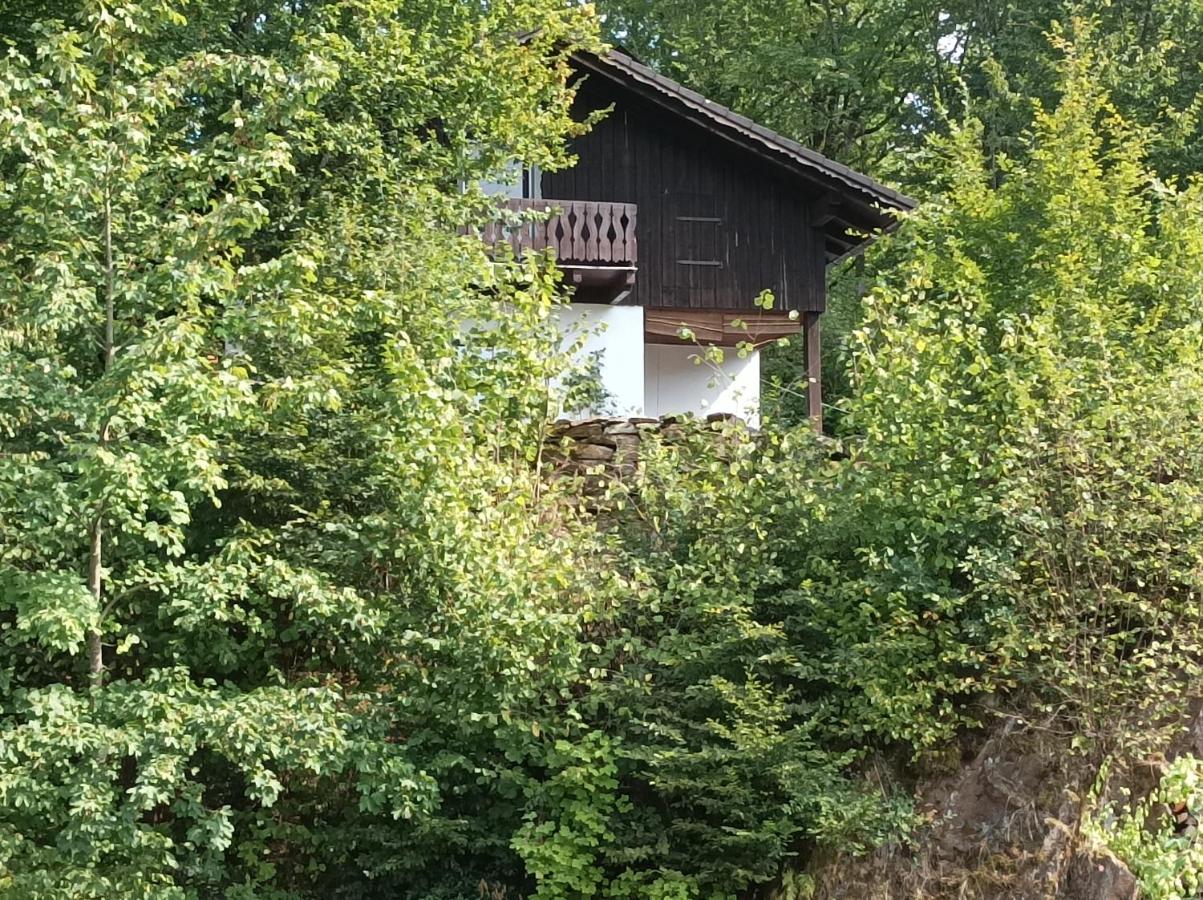 Burgberg Schöllnstein - Ferienwohnung Iggensbach