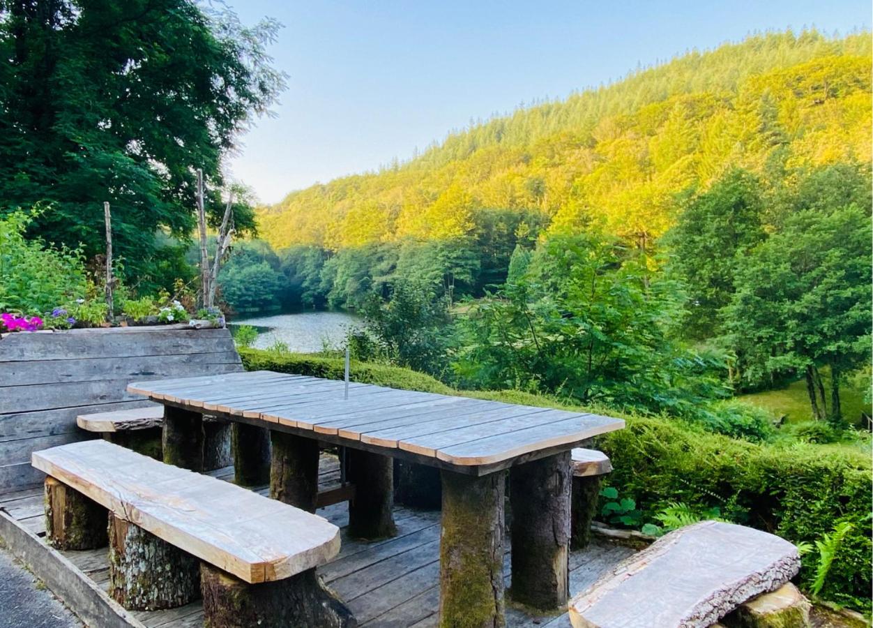 MAGNIFIQUE Location au bout de la route - B&B Saint-Hilaire-les-Courbes