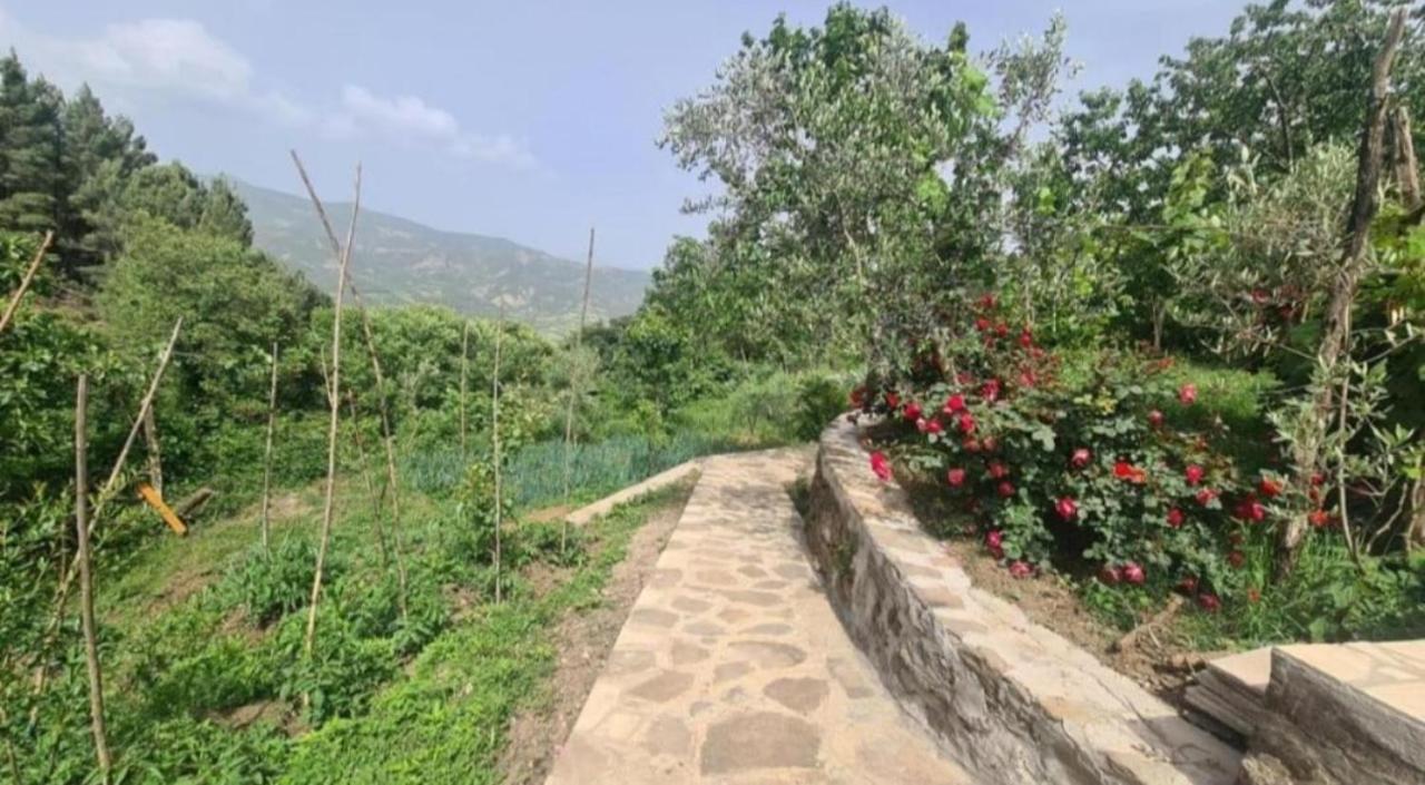 GUEST HOUSE FELAU,Leusë - Bed and Breakfast Përmet