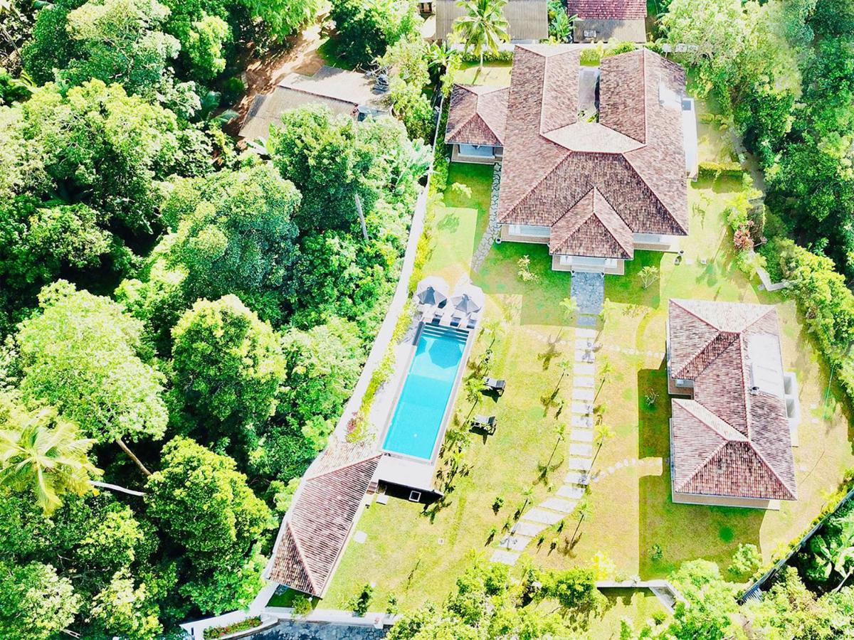 Oak Tree Villa - B&B