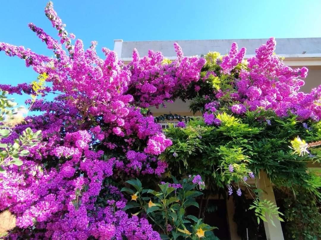 Apartmani Marijela - B&B