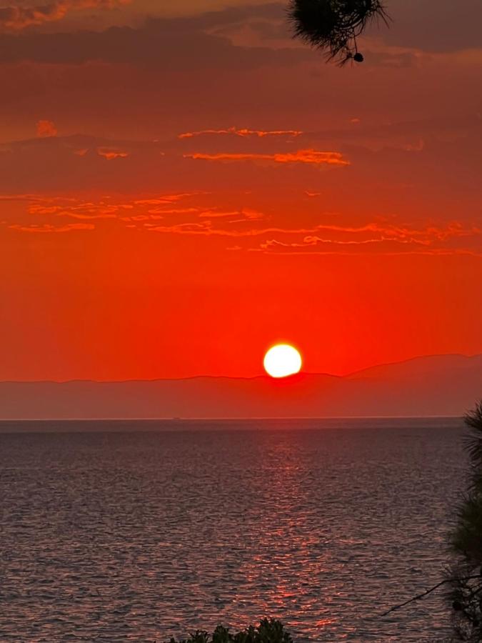 Nissos 2 apartments thassos - Bed and Breakfast Skála Kalliráchis