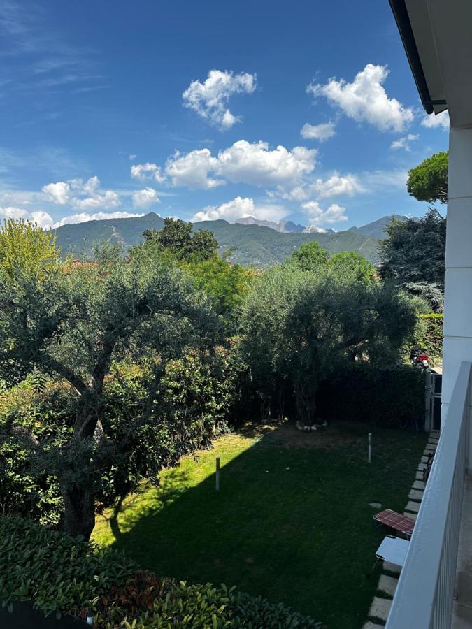 Casa Norma Oasi di pace a un passo dal mare - Bed and Breakfast Querceta