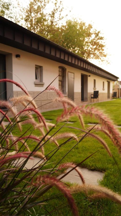 Remise Brasch - Zwischen Bahnhof und Elbe - Chambres d’hôtes