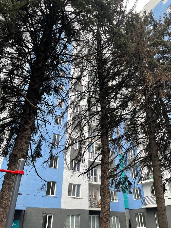 Новые Комфортные апартаменты, ЖК Еламан - B&B