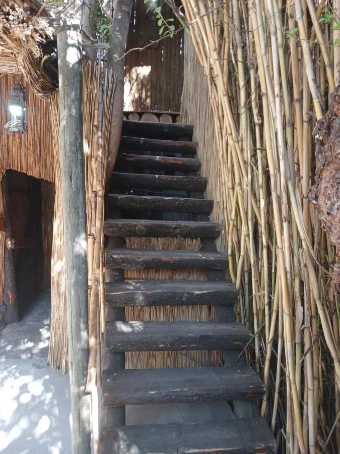My Little Africa - B&B