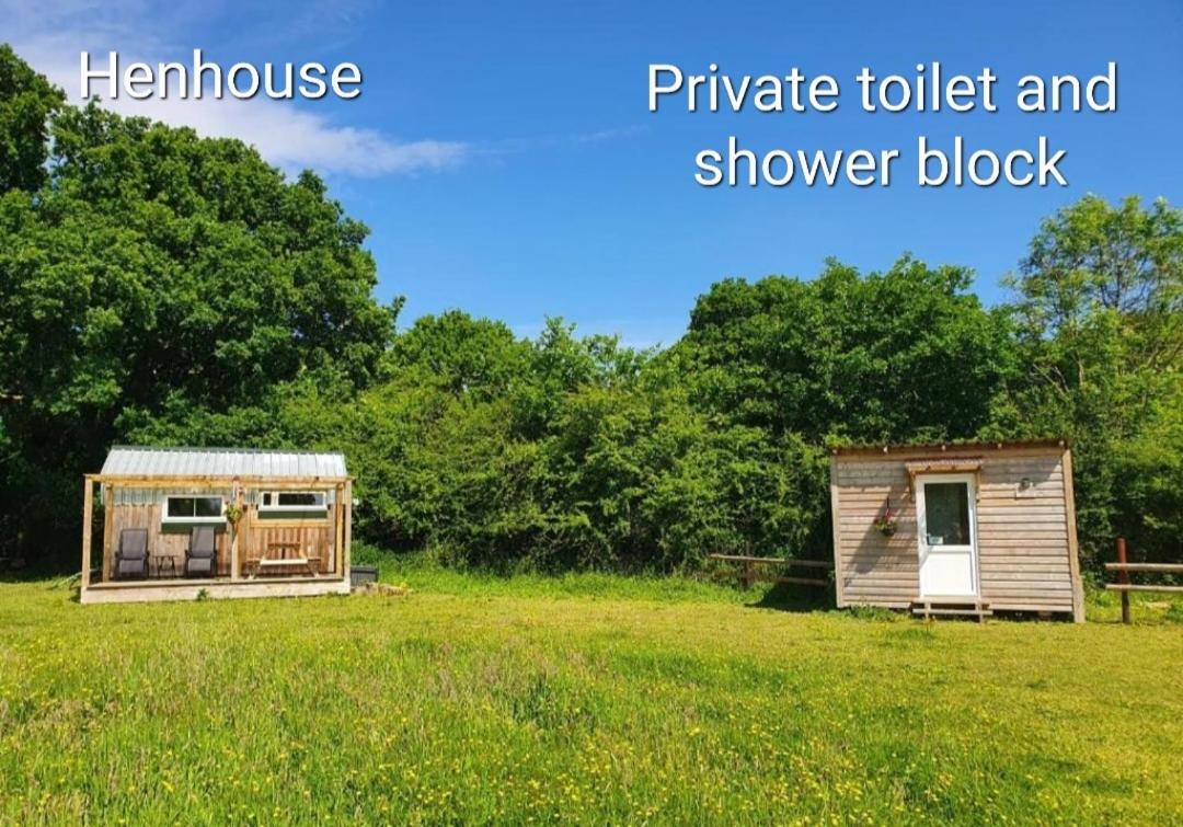 Dartmoor Reach Alpaca Farm Heated Cabins 5 mins drive to Dartmoor - B&B Bovey Tracey