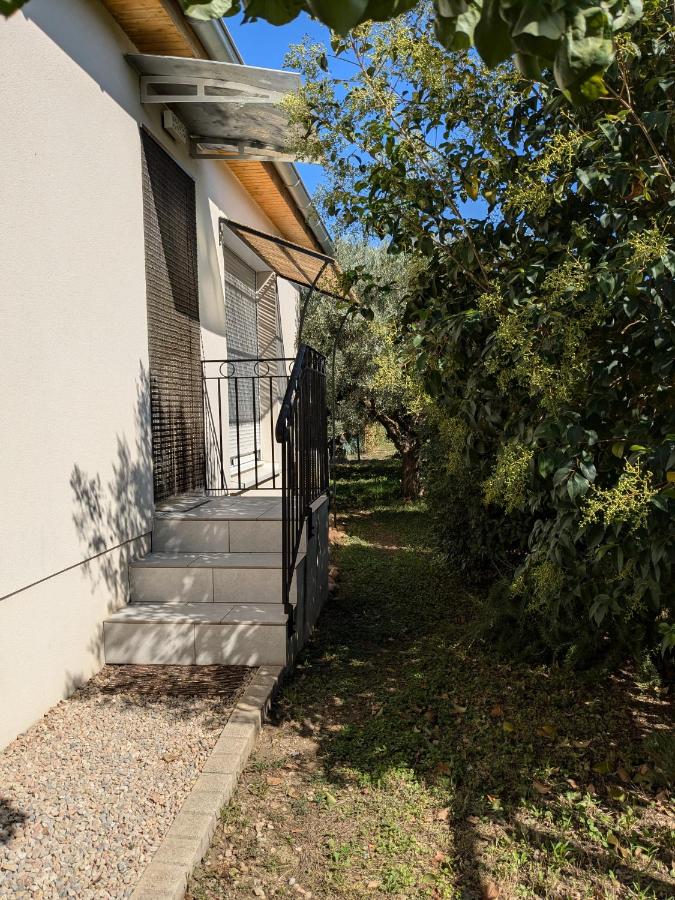 La Maison sous l'olivier - Chambres d’hôtes Morières-lès-Avignon