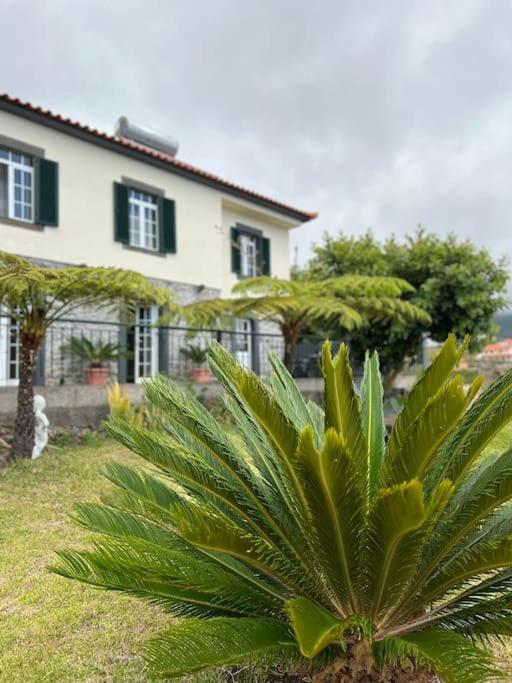 Guest House Santinhos - Ferienwohnung