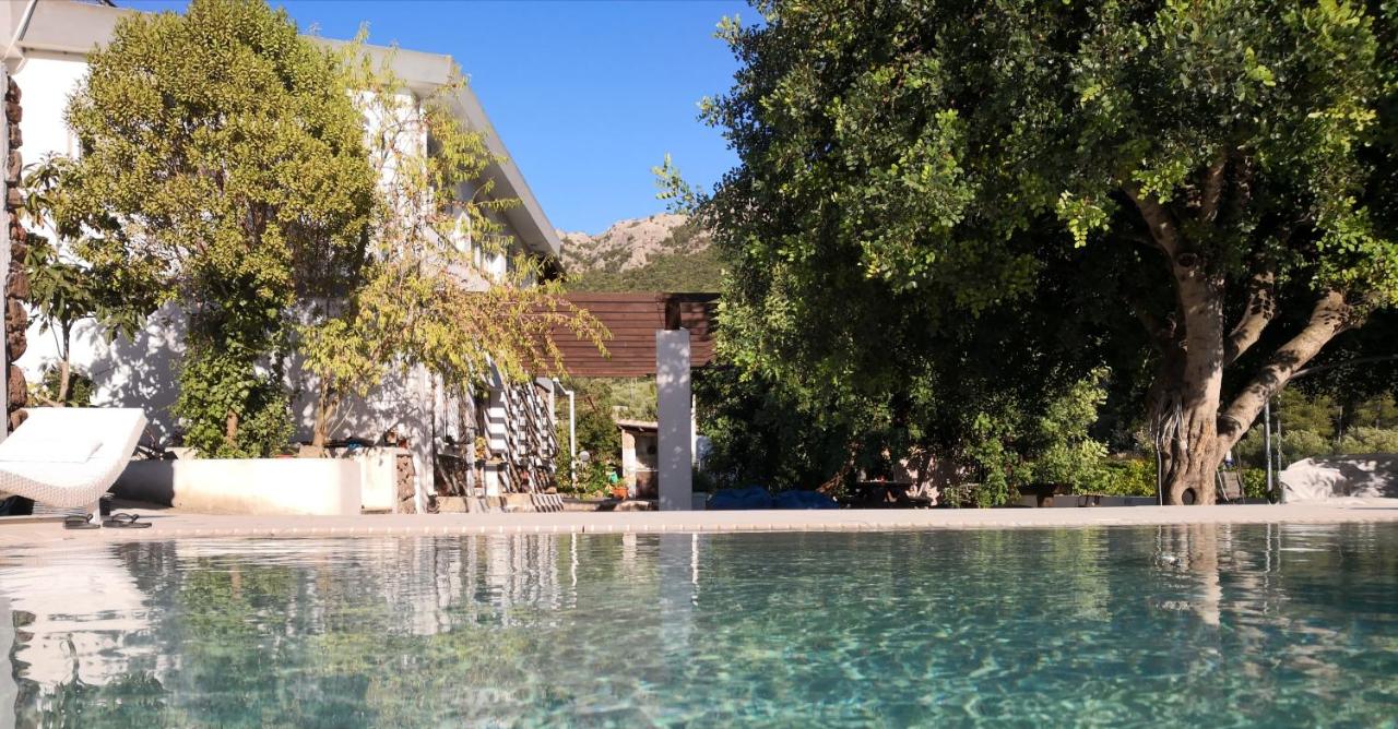 appartamento in Villa - B&B Dorgali