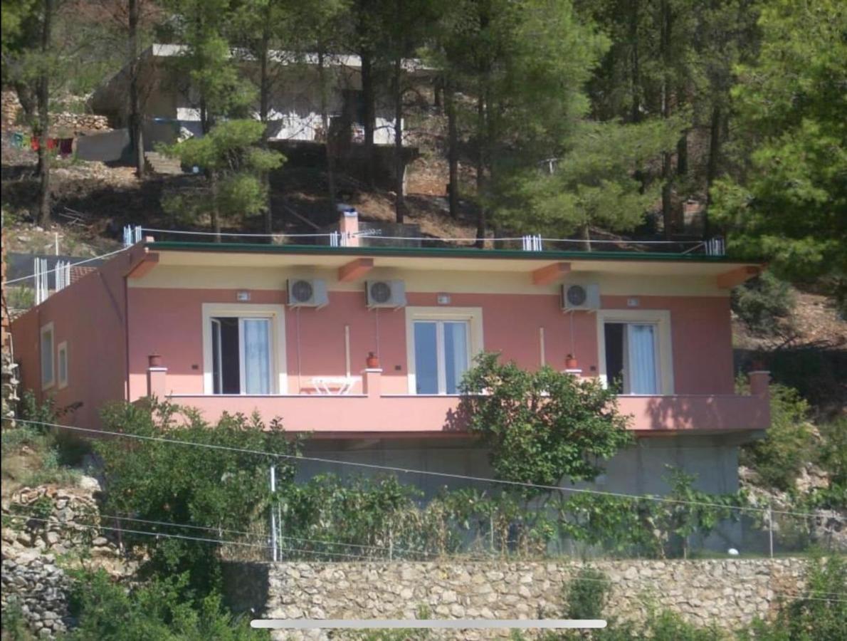 Vila Frroku - B&B