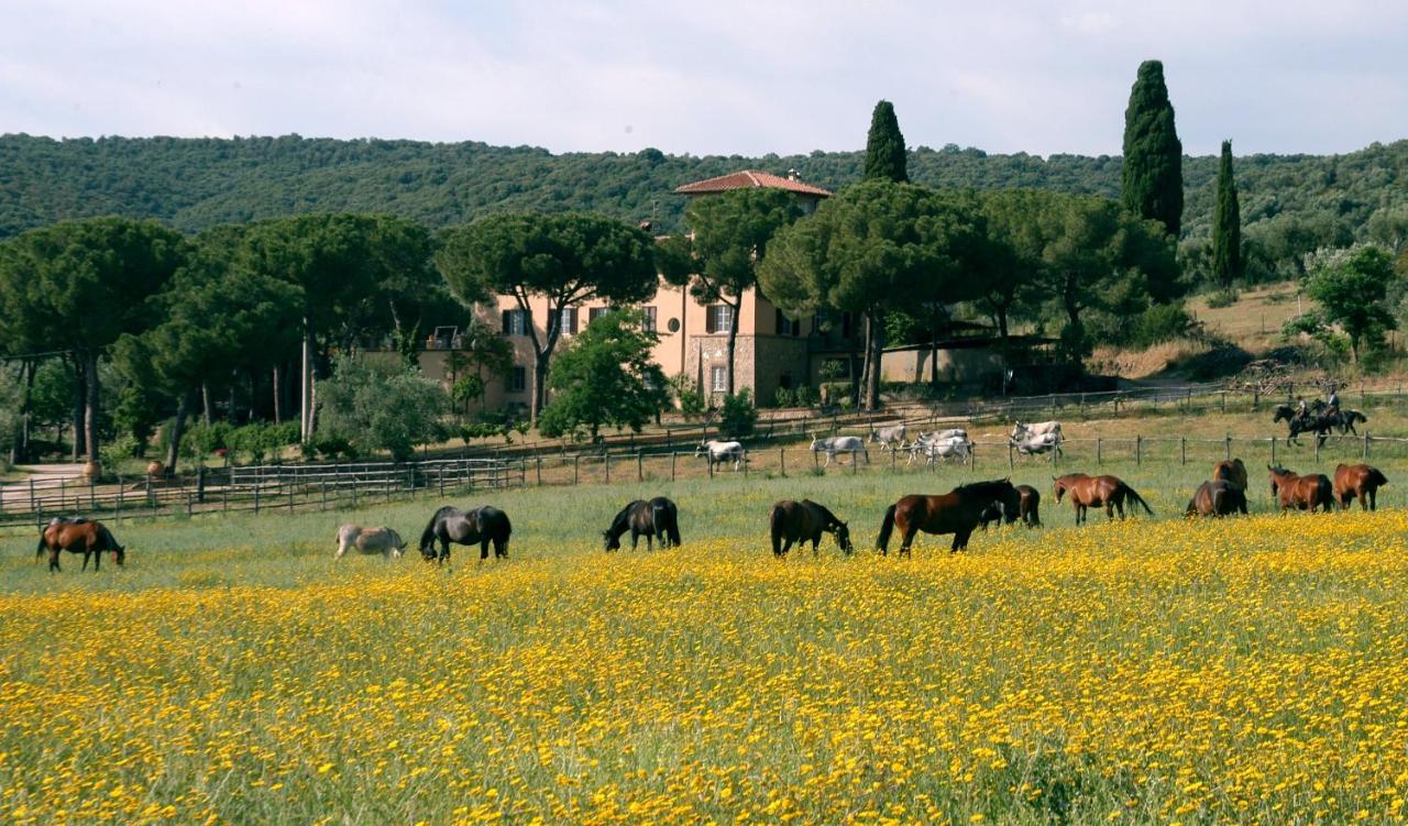 B&B Grosseto - Bio Agriturismo Corte degli Ulivi - Bed and Breakfast Grosseto