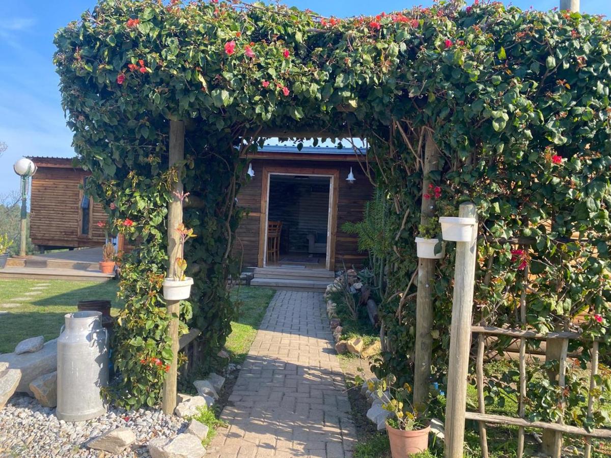Knysna Tranquil 3 Bedroom Cabin - B&B