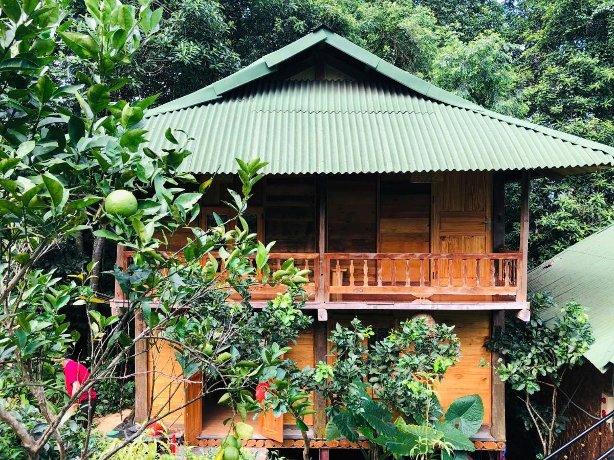 Trang trại nghỉ dưỡng Việt Thành Hill - Bed and Breakfast Làng Vát