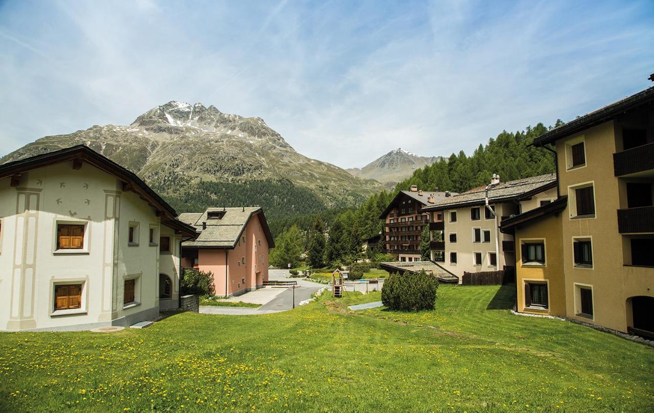 Familienwohnung Epomeo Surlej - B&B