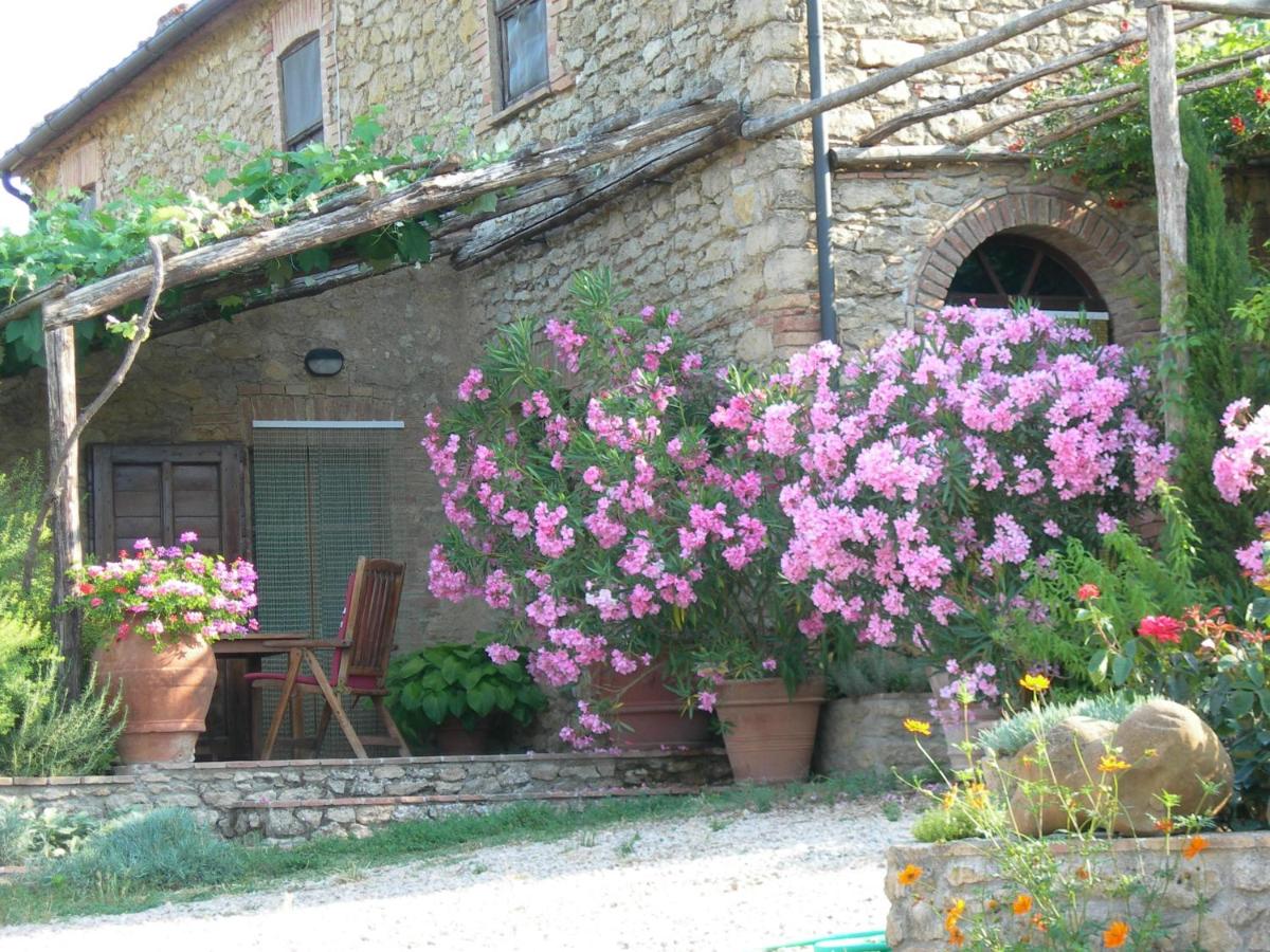 PERGOLA at Le Pietraie a cottage with many flowers - Bed and Breakfast