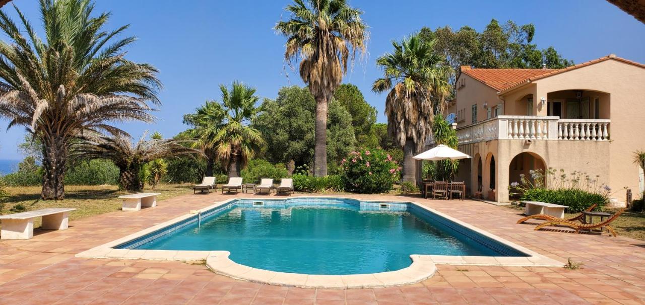 Charming villa with pool, sea and mountain views - Ferienwohnung Argeles-sur-Mer