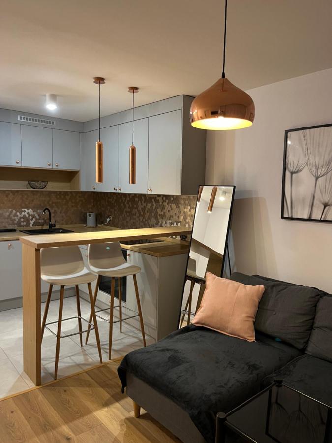 Przy Stadionie Śląskim i Parku Śląskim Tysiąclecie - B&B