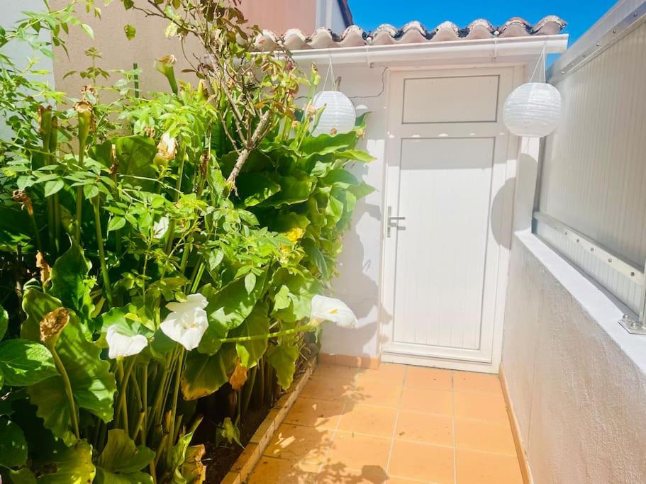 Pinède, plage et billard - B&B