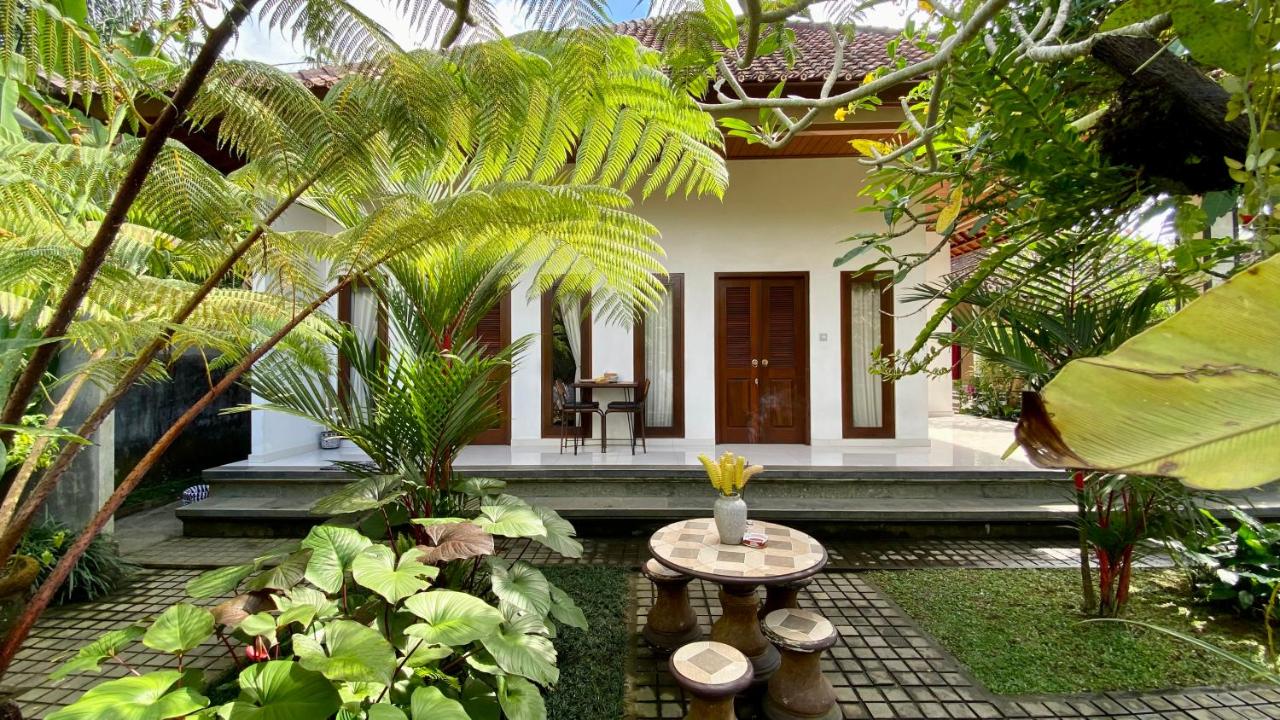 Willow Homestay - B&B