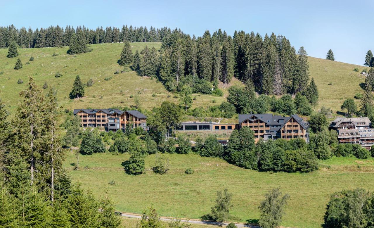 Black Forest Lodge - Bed and Breakfast