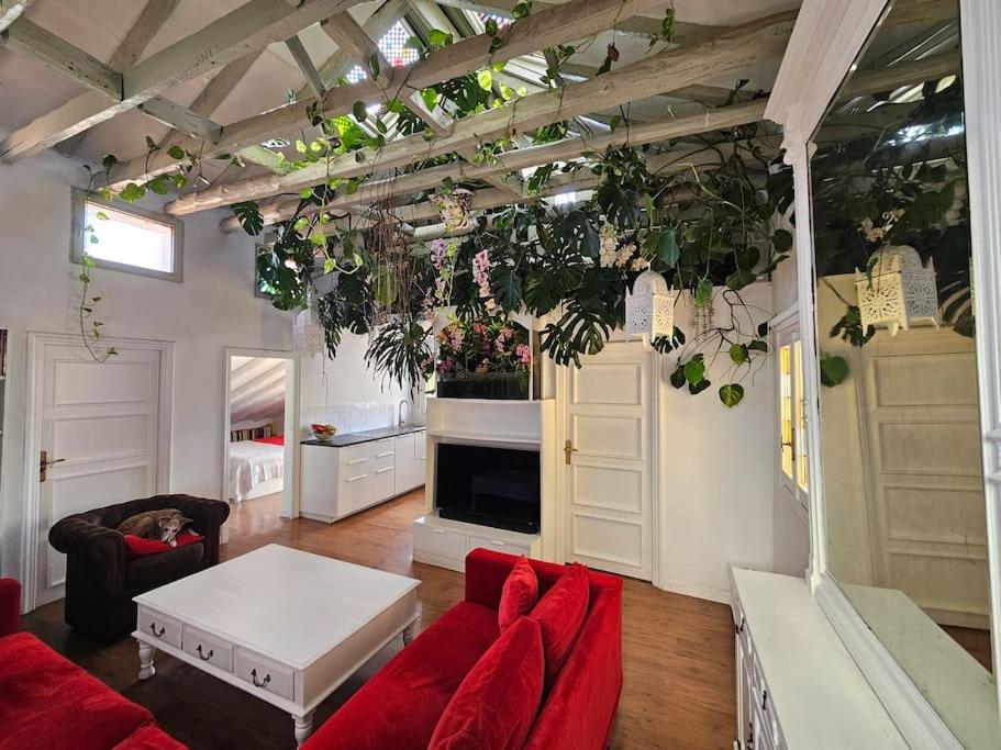 A garden in the clouds in the center of town - Ferienwohnung Madrid