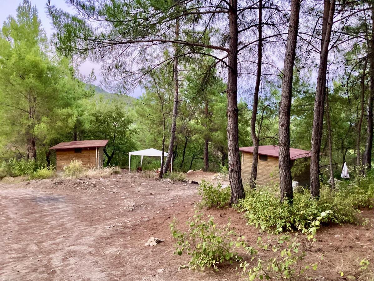 Bungalow Superior