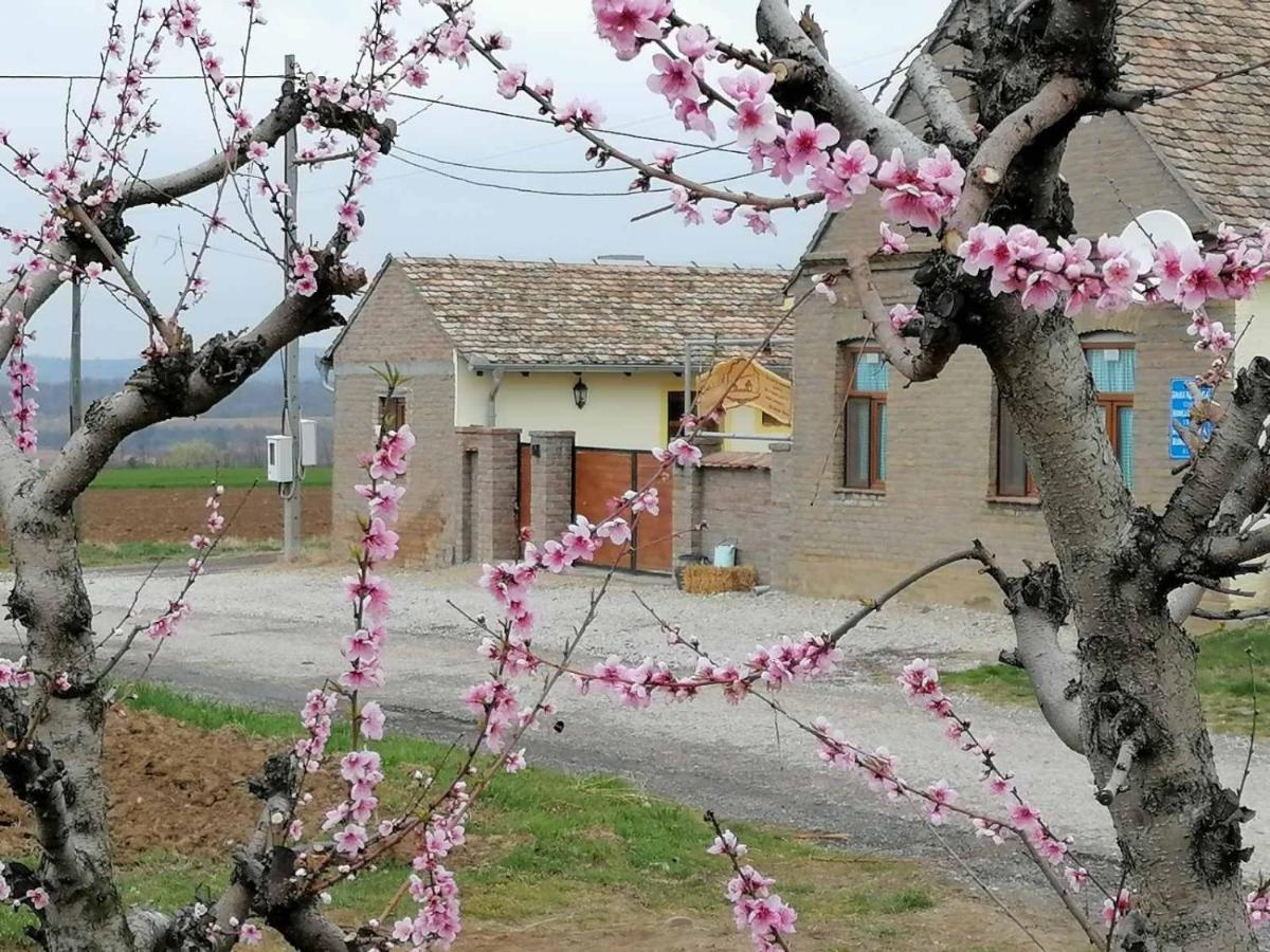 Seosko turističko domaćinstvo Biser - B&B