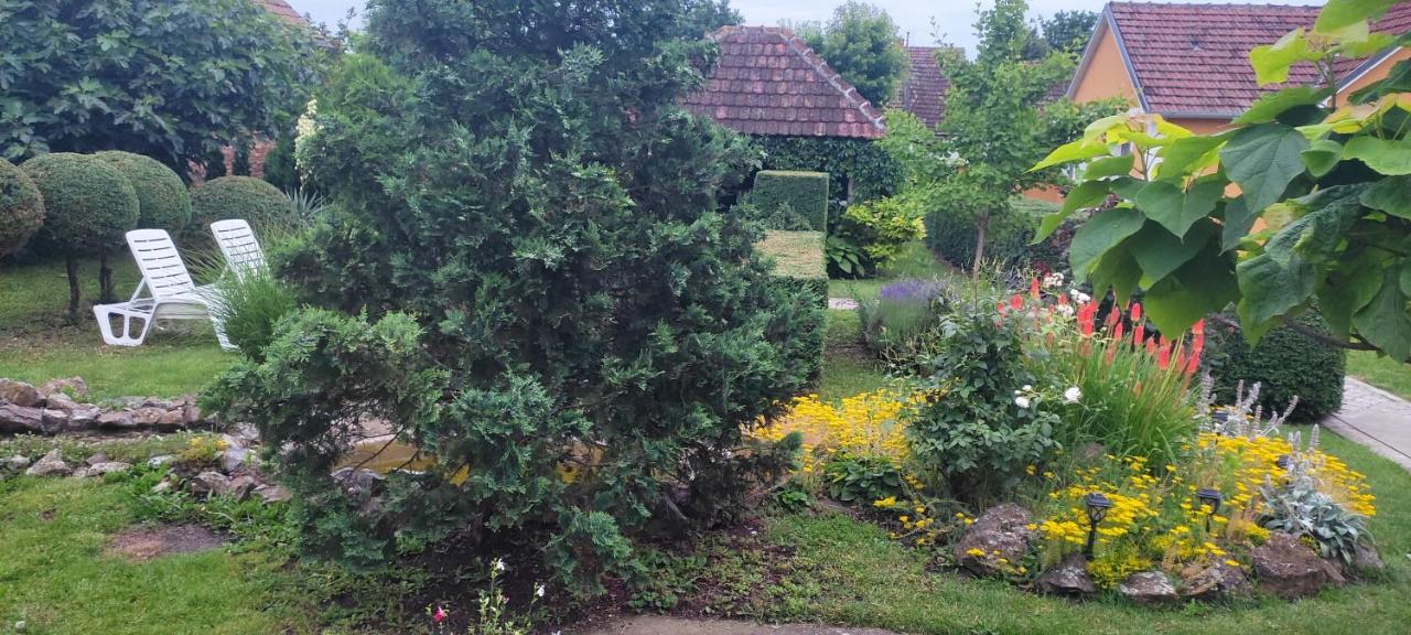 Mali Vrt - B&B