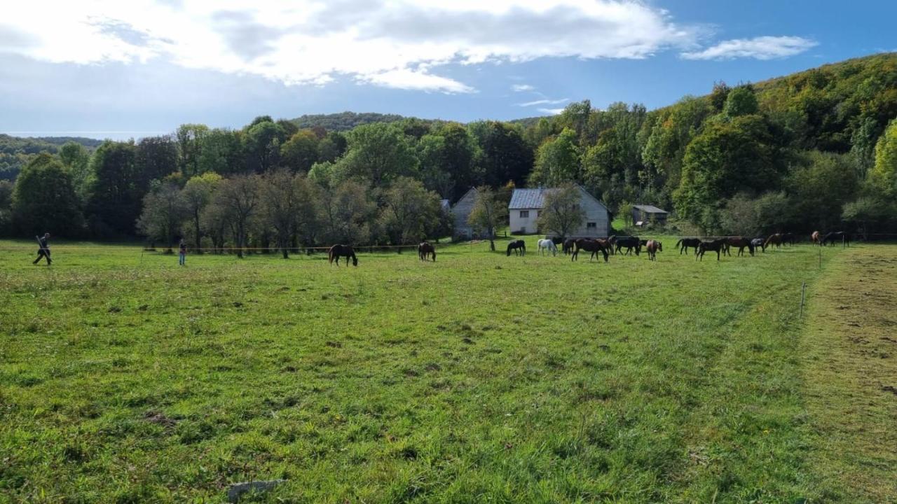 Horse Trail Plitvice - B&B