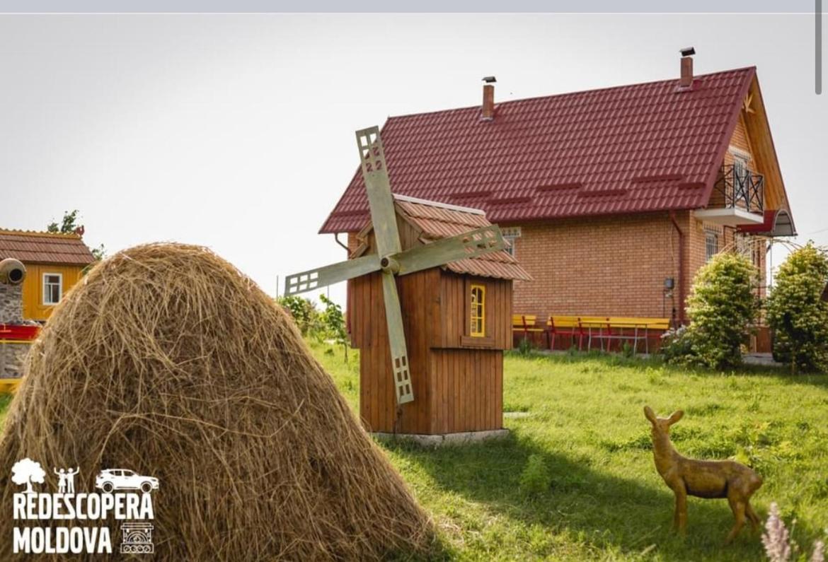 La Nea Ion - Bed and Breakfast Ţaul