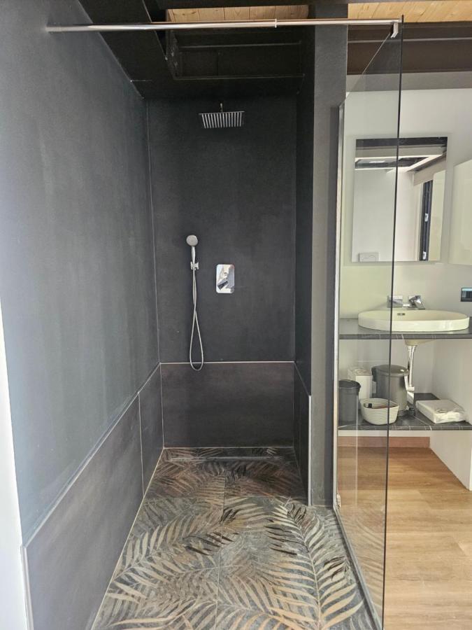 Appartement Loft 1 Chambre 