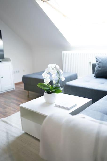 Appartamento con 2 Camere da Letto