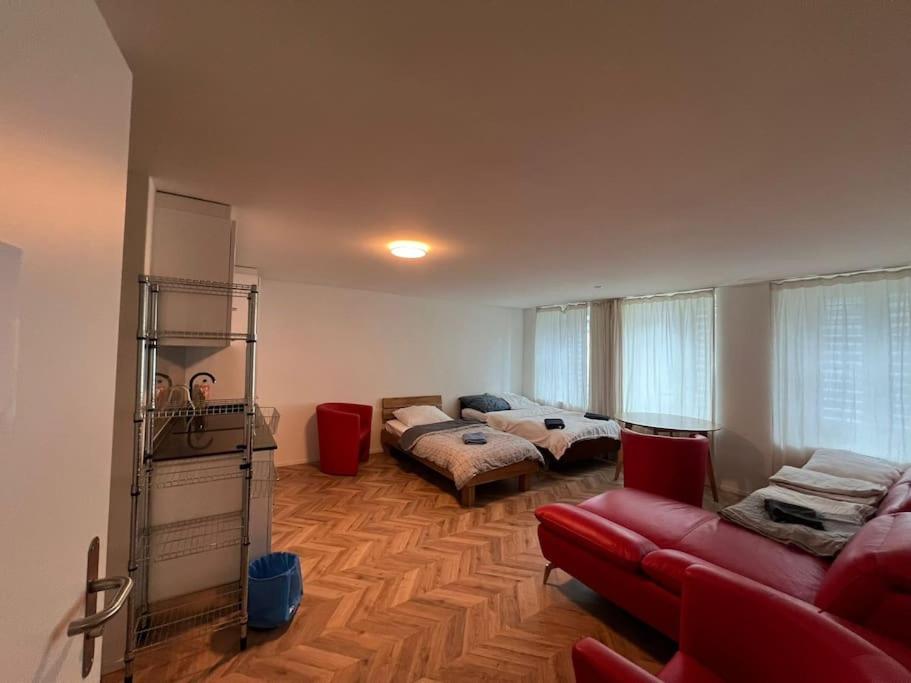 Red Apartment Freihofapartments - Ferienwohnung Brugg
