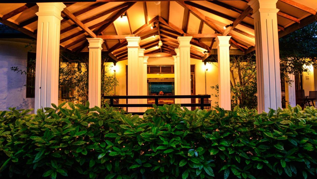 B&B Hikkaduwa - Camellia Dwelling - Bed and Breakfast Hikkaduwa