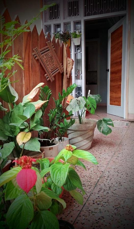 Nawabi SunRise HomeStay - B&B