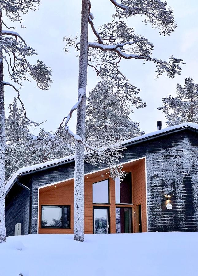 Villa Alveus - Modern Design villa, 3 bdr - B&B Kolari