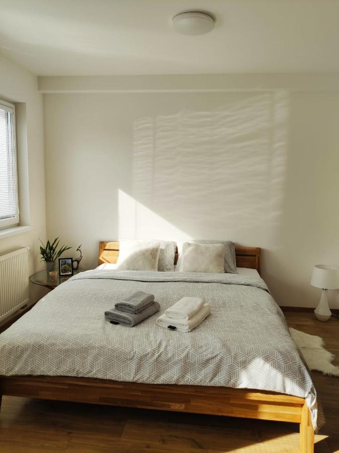 Apartment mit 1 Schlafzimmer